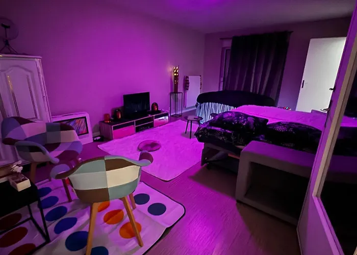 Pour Un Sejour Parfait Apartment Reims